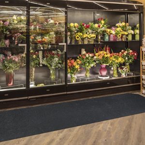 Waterhog Mats, Safeway, Frisco, Colorado